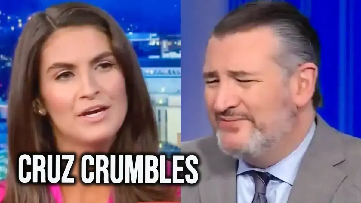 Kaitlin collins and ted cruz