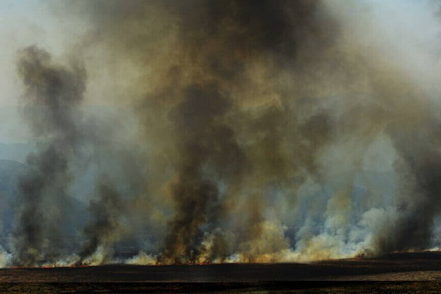 img 5056 1 Ice detained 2 firefighters battling the wildfire in oregon