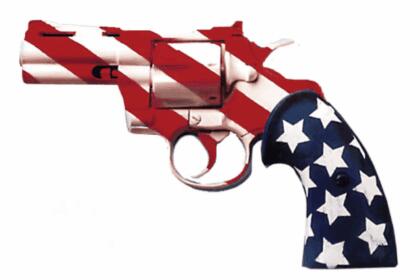 Second amendment gun