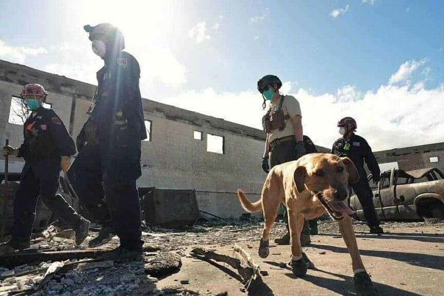 Fema search and rescue team after the wildfires in hawaii. Flooding in hawaii