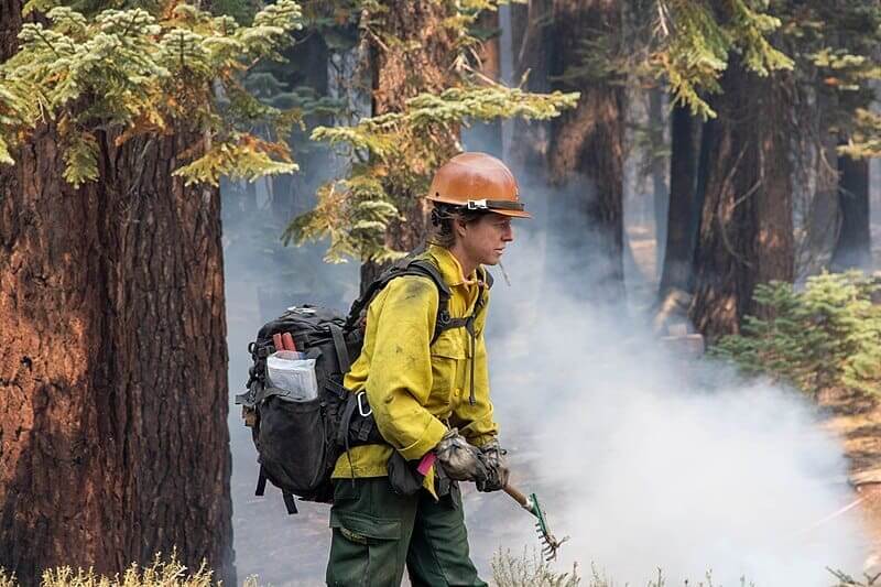 wildland firefighters Wildland firefighter walking the perimeter of a fire