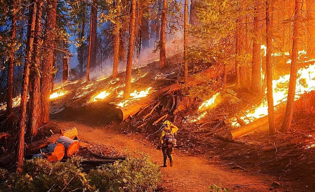women firefighters Firefighter sarah platt patrols hand line during initial attack of the washburn fire.