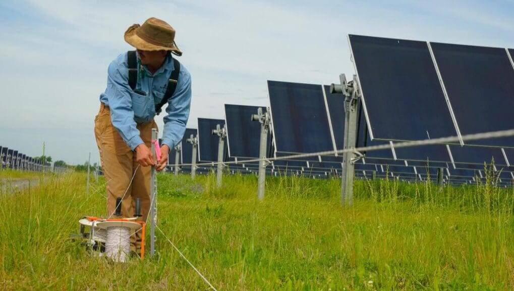 farmer in field solar Farmer in the field next to solar panels