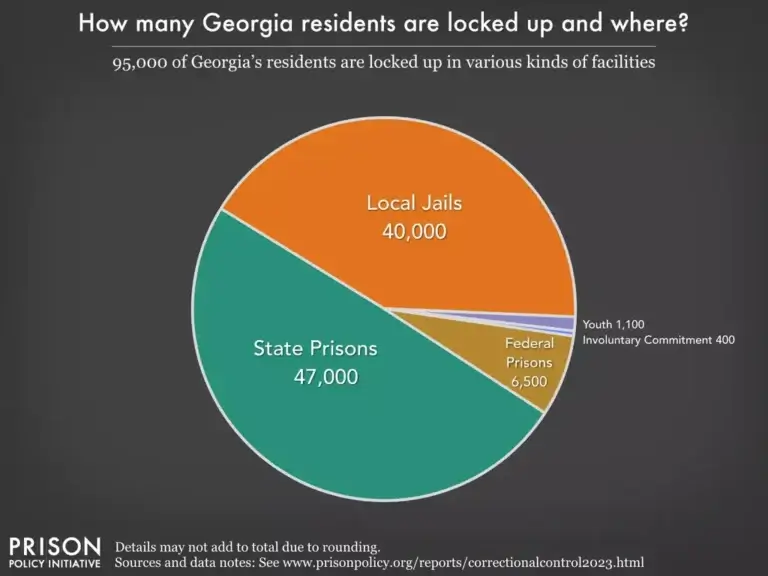 georgia prison statistics1 Pie cchart of georgia prison statistics