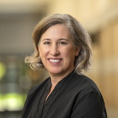 Dr. Lisa Schirch