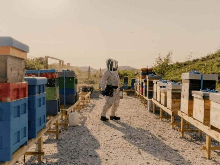 Woman who rescues bees wearing a beekeeper’s protective gear