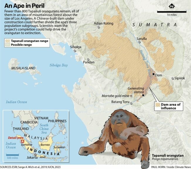 Map showing tapanuli orangutan location
