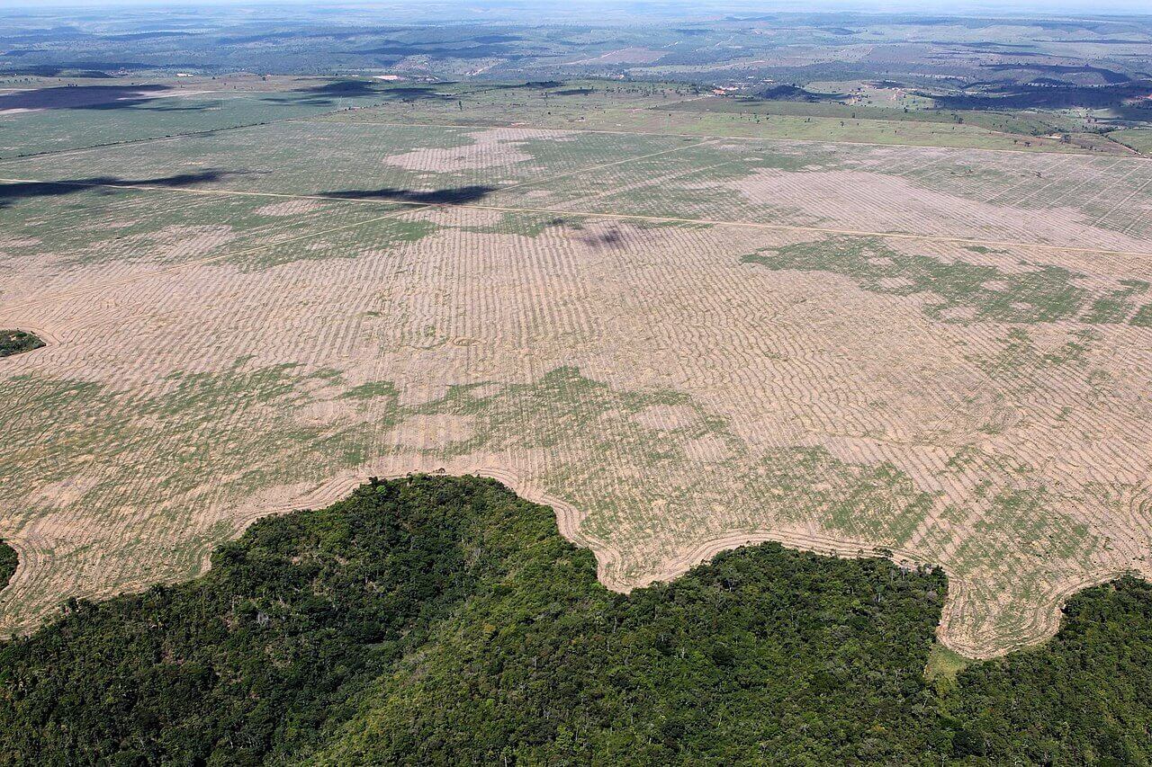 deforestation brazil Aerial view of deforestation in brazil