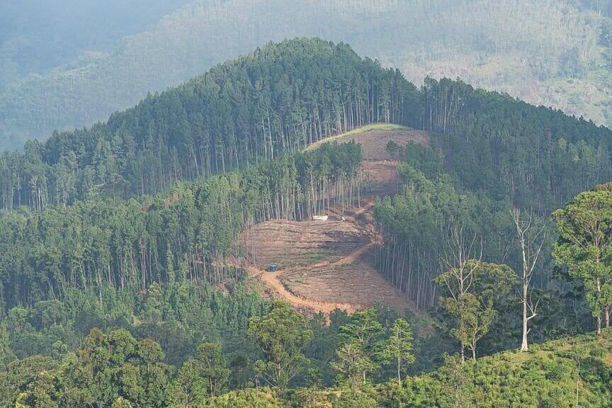 deforestation sri lanka View from little adam's peak in ella, sri lanka