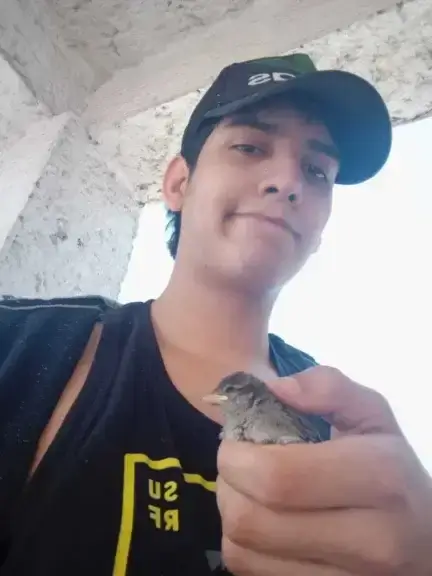 dylan1 Dylan lopez contreras holding a baby bird