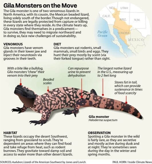 Gila monsters fact sheet