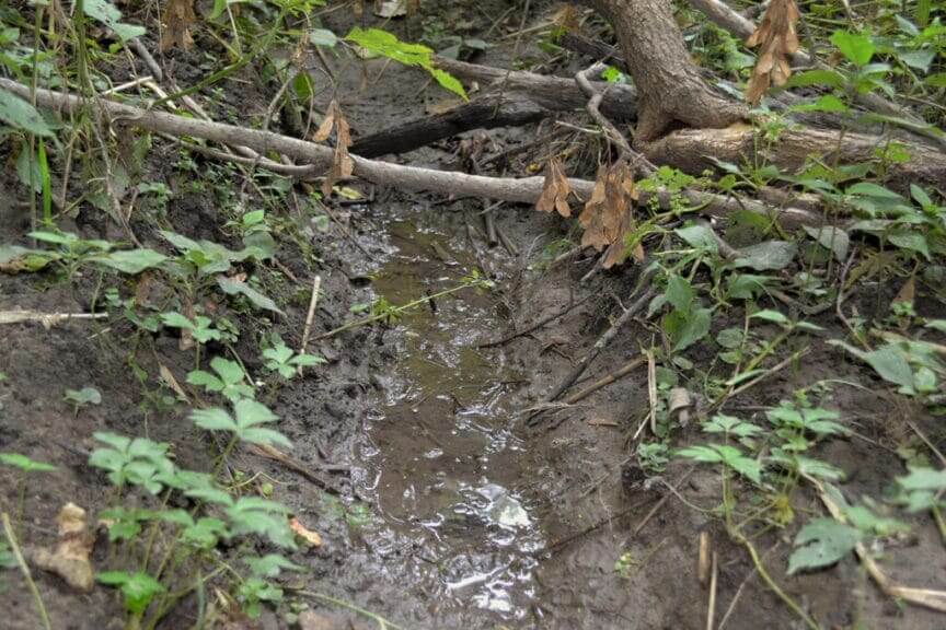 Stream that feeds into beaver creek is seen following rainfall. Under proposed amendments to the clean water act