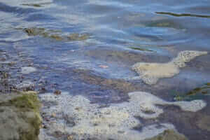 Clean water act affects rivers and streams in iowa