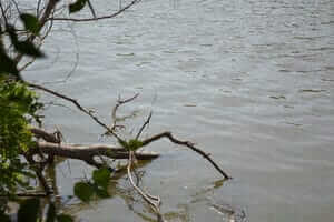 Water in iowa
