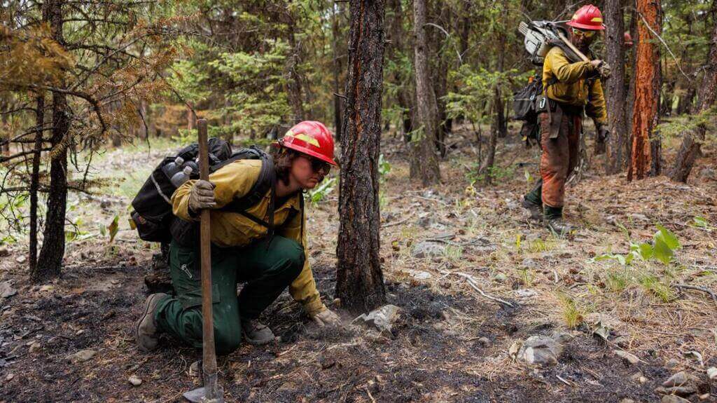 Wildfire drone team