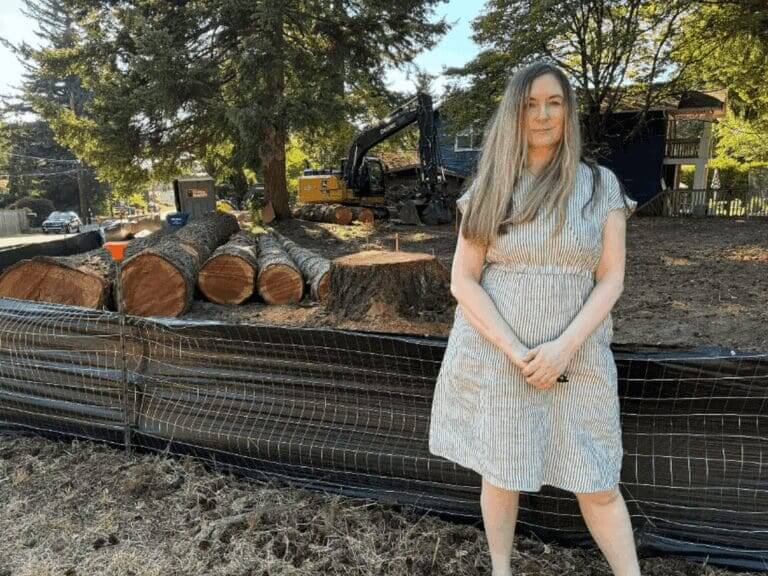 woman trees cut down Woman standing beside trees that were cut down