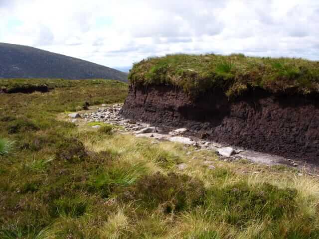 peat hagg A 7 feet tall peat hagg.