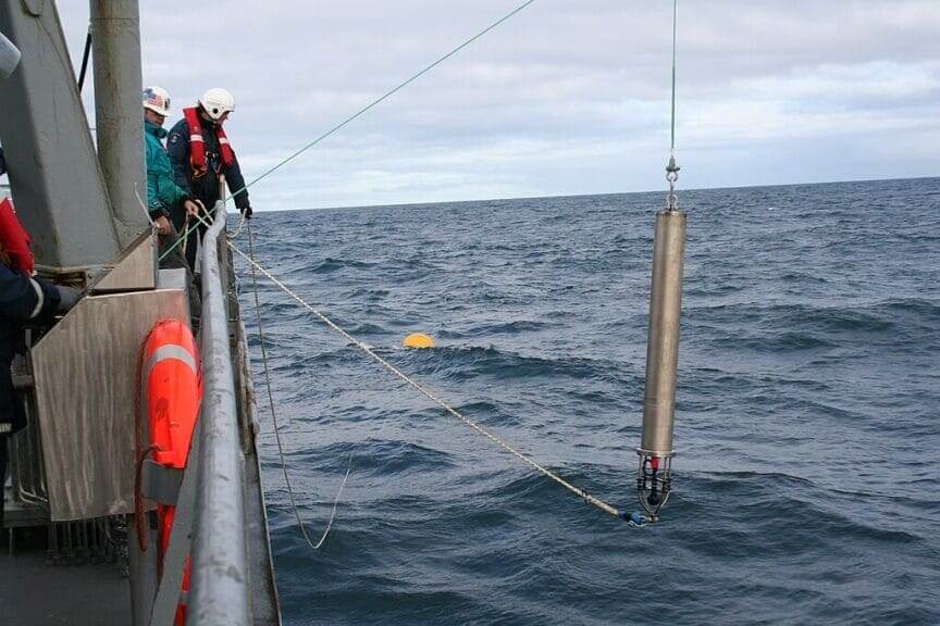 whale sound study Scientists study whale communication