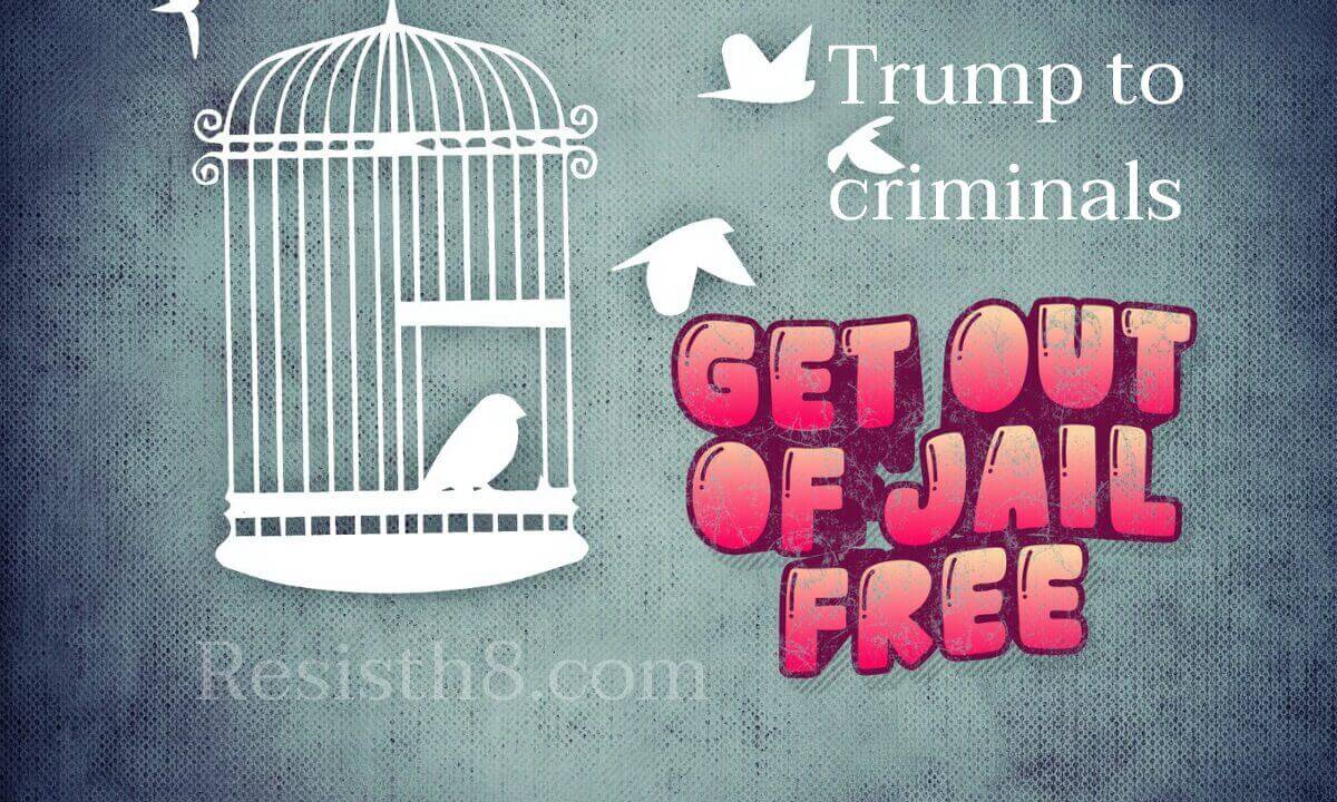 Presidential pardons of trump’s second term