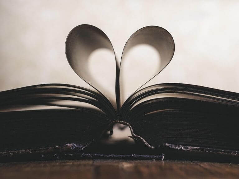Open book with the pages forming a heart. Libraries in gaza