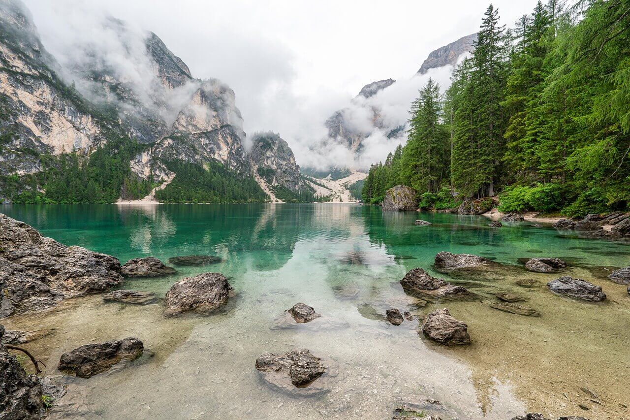 Beautiful nature scene with water. Clean water act