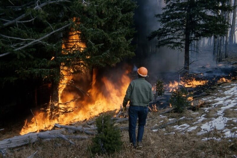 argentina fire Wildfire in mexico
