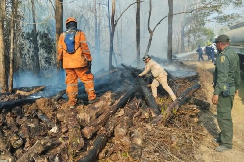 argentina firefighters Firefighters in colombia in the forest with a smoldering fire