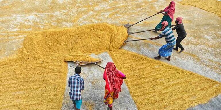 farmers india Farmers crop losses in india