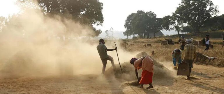 farmers india2 Farmers working crop losses in india