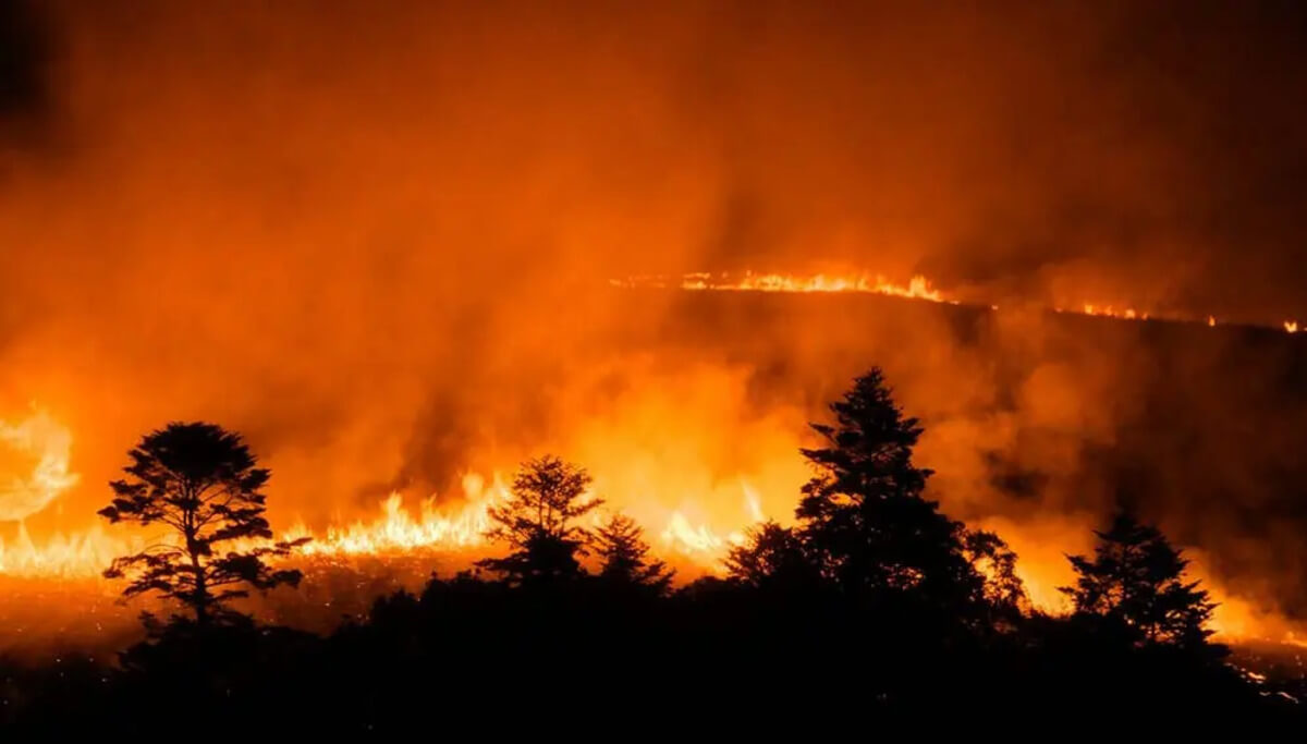 World on track to breach 1. 5 degree target by 2030