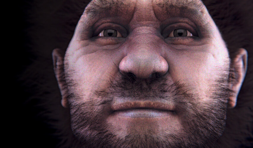 homo erectus Homo erectus facial reconstruction