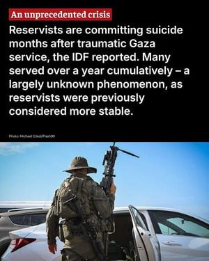 Infographic about idf soldier suicides