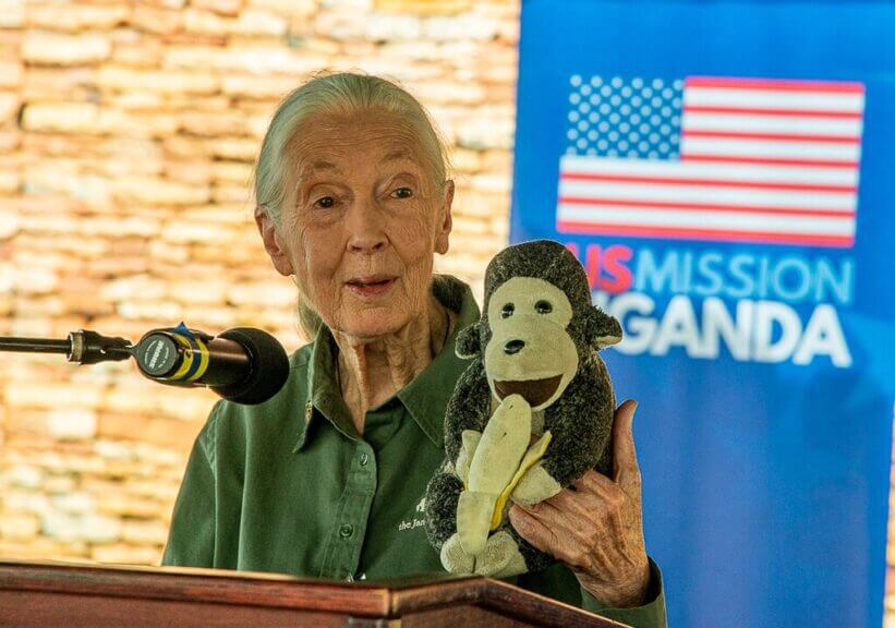 jane goodall mission uganda Jane goodall visits united states mission uganda