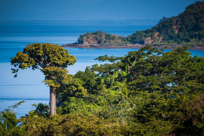 ocean landscape greenery The punta patino nature reserve