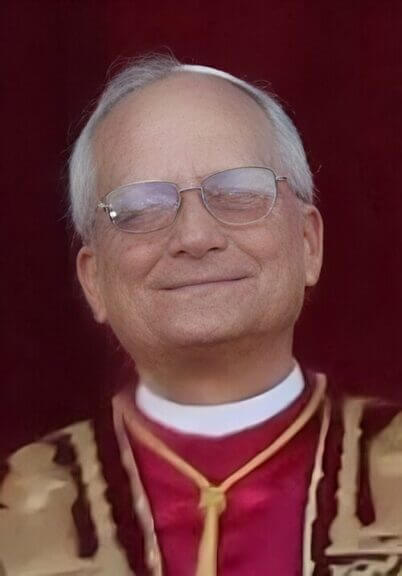 pope leo xiv Catholic cardinals referenced the words of pope leo xiv