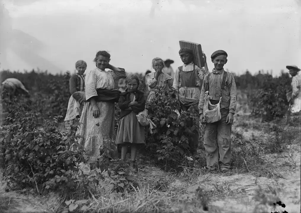 immigrant berry pickers Polish berry pickers