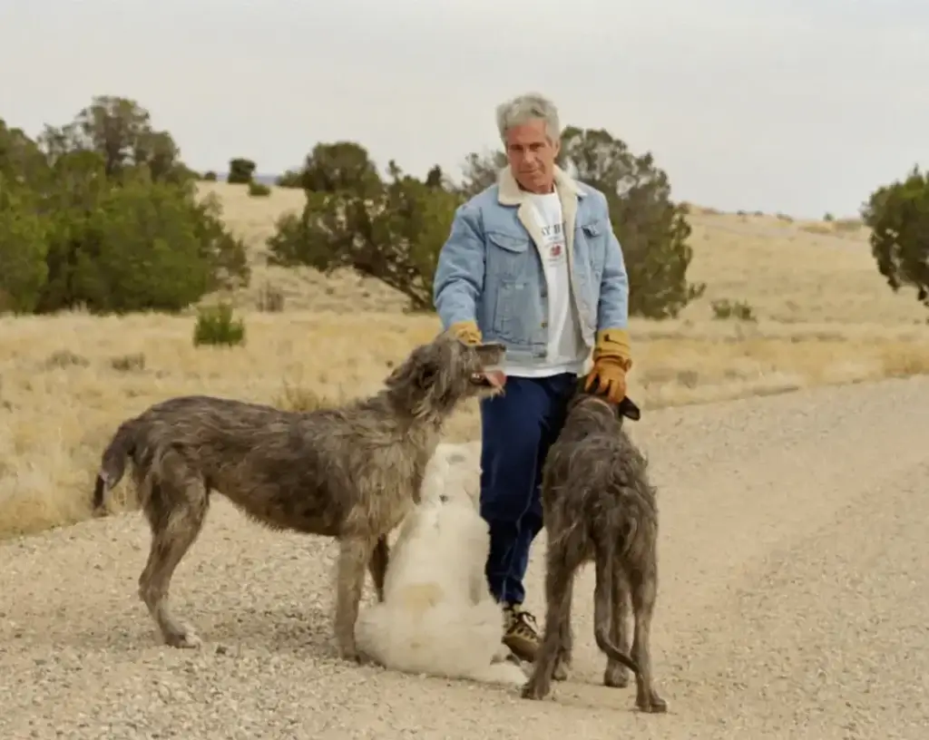 epstein dogs zorro ranch Epstein and dogs at zorro ranch
tortured at zorro ranch investigation