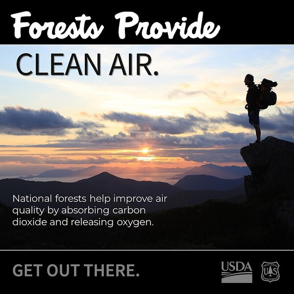 forests clean air Forest service clean air graphic