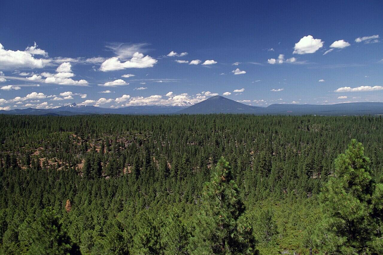 Deschutes national forest oregon cascades