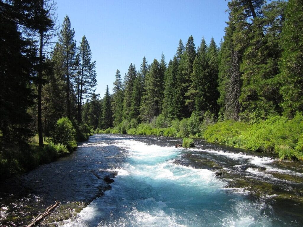 Deschutes national forest