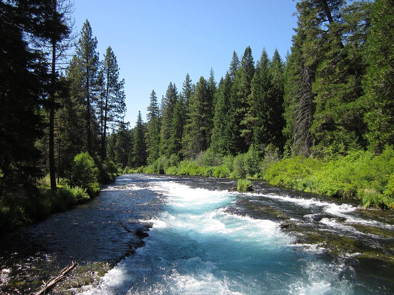 deschutes national forest2 Deschutes national forest