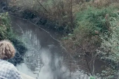 Wolf creek - the martin county kentucky coal slurry spill