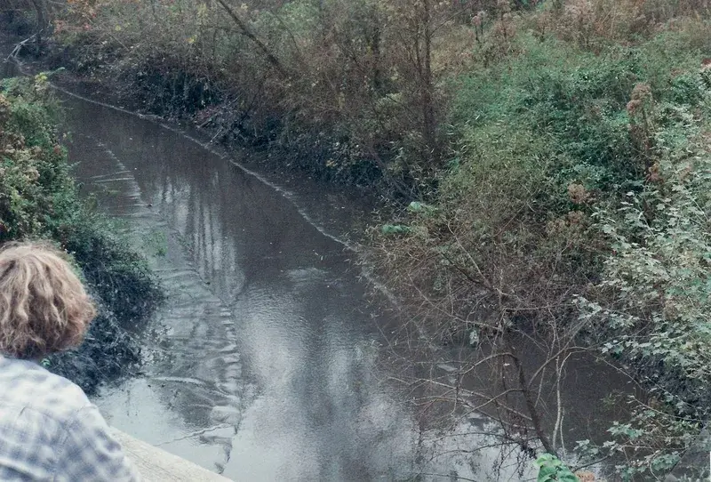 Wolf creek - the martin county kentucky coal slurry spill