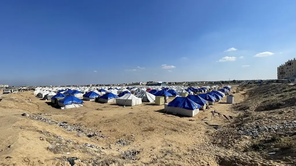 Rats are biting babies in gaza displacement camps