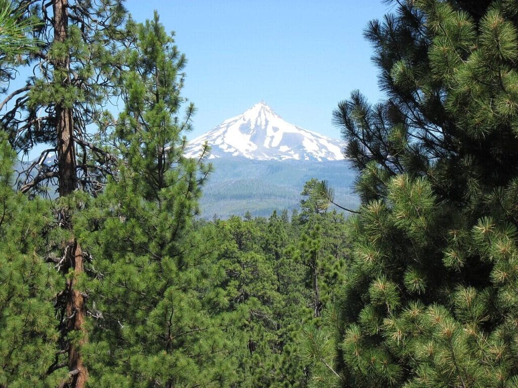 Deschutes national forest