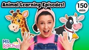 Ms rachel youtube show