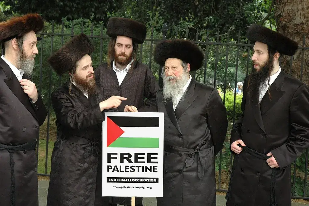 neturei karta protest Anti-zionist group, neturei kara anti-zionist jewish group protesting genocide in gaza