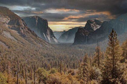Yosemite national park forest at sunset