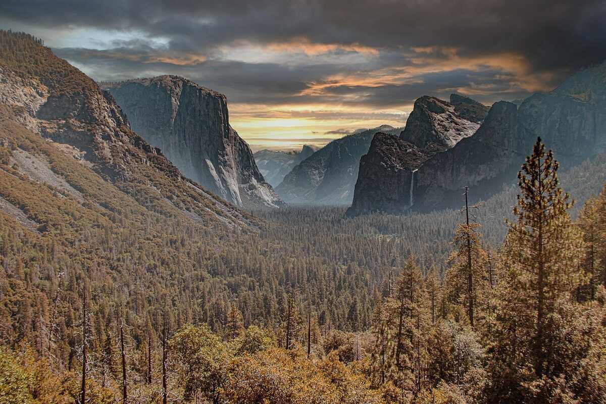 Yosemite national park forest at sunset