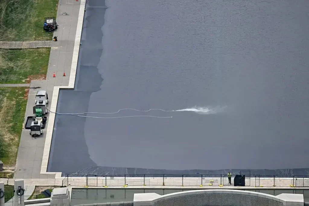Reflecting pool algae